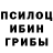 Галлюциногенные грибы Psilocybe Konsti C