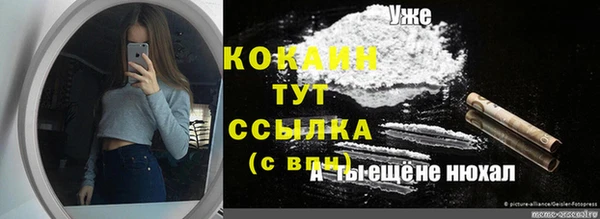 экстази Ельня