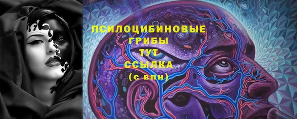дурь Елизово