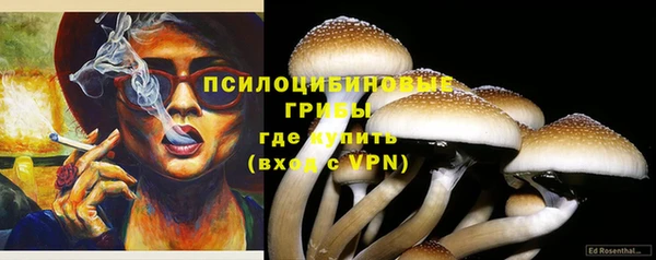 экстази Ельня