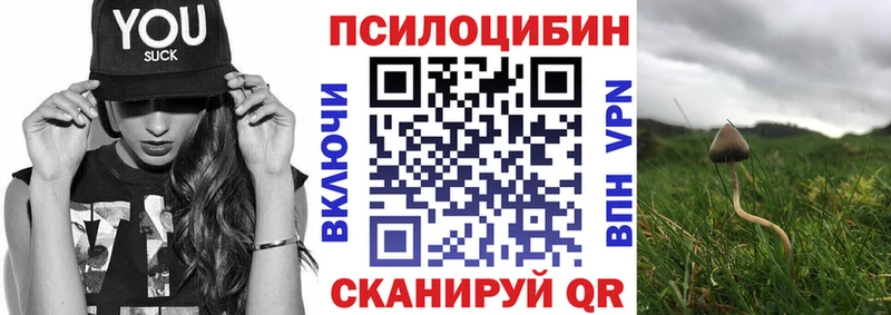 Купить  Цоци-Юрт  Псилоцибиновые грибы MAGIC MUSHROOMS 